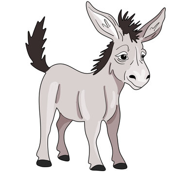 Colorful vector illustration ready to print: small cute cartooned donkey
