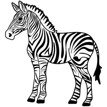 Vector colorful cartooned illustration for children: cute zebra horse