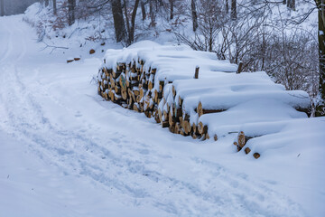 A lot of cutted trees lying next to mountain trails in mountains covered with snow at winter