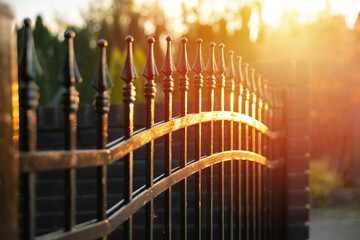 beautiful decorative wrought iron fence. Metal fence close-up