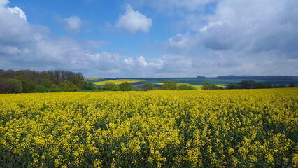 Ausblick auf eine Landschaft mit Hügel
Feld mit gelber Raps Blüte grünen Wiesen und Feldern,...