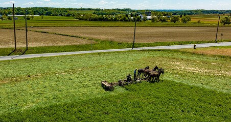 Obraz na płótnie Canvas An Aerial View of an Amish Farmer Cutting Mowing Crops Using Four Horses and a Gas Engine and With the Countryside in View, on a Beautiful Summer Day