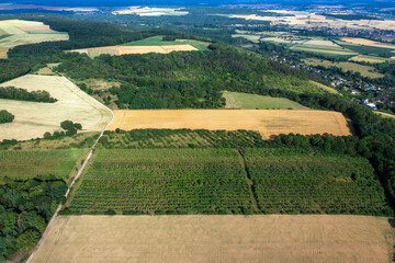 Verger de pommes au milieu des champs surplombant le village de Giverny en bas à droite. (Cidre "Le verger de Giverny")