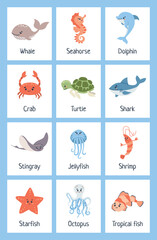 Sea animal flashcards. Learning ocean vocabulary.