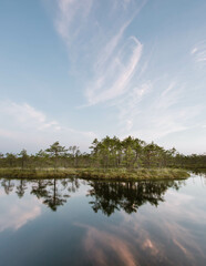 Morning view of the raised bog (swamp) in Europe