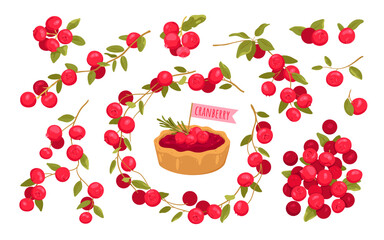 Cartoon isolated vitamin red berry fruit on branch with leaf, summer twig of botanical plant and organic food ingredient for portion cranberry sweet cake or tart. Cranberry set vector illustration