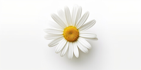 A single white daisy flower on a white surface. Generative AI.