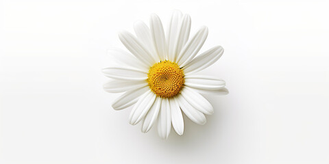 Obraz premium A single white daisy flower on a white surface. Generative AI.