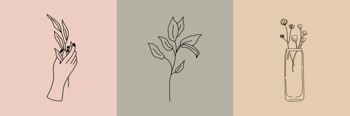 Vector set of botanical illustrations in minimal linear style, minimalistic modern floral logo