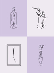 Vector set of botanical illustrations in minimal linear style, lavender flower illustration set, minimalistic modern floral logo, pre-made art poster