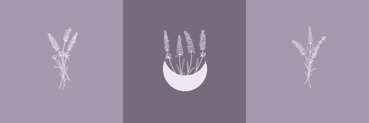 Vector set of botanical illustrations in minimal linear style, lavender flower illustration set, minimalistic modern floral logo - 616275847