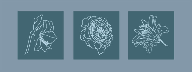 Fototapeta na wymiar White flowers collection outline vector clipart. Flowers line art tattoo on blue background. Wedding Logo elements 