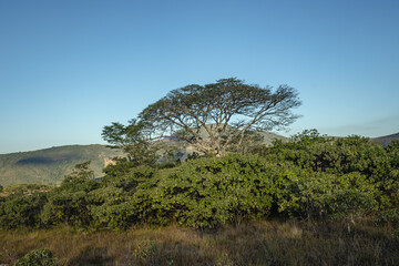 Fototapeta na wymiar Paisagem natural na cidade de Conceição do Mato Dentro, Estado de Minas Gerais, Brasil