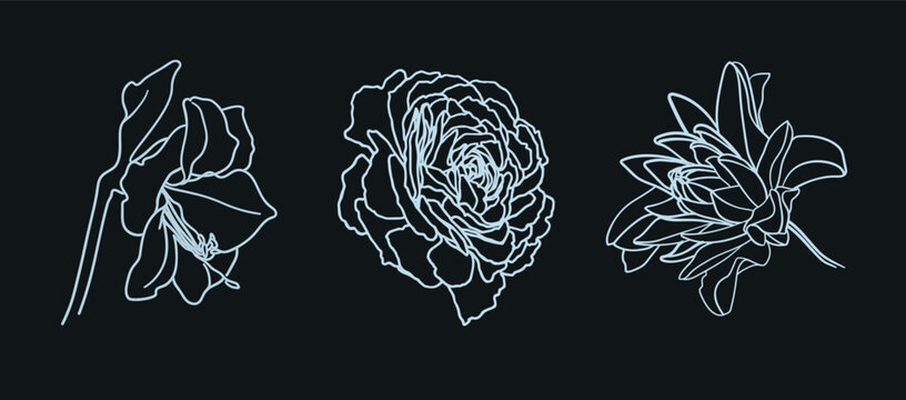 White flowers collection outline vector. Flowers line art tattoo on black background. Wedding Logo elements. Minimal line design.  