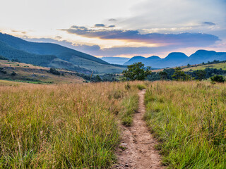 Fototapeta na wymiar Hiking trail, rolling hills and misty meadows in Graskop, Panorama Route, Mpumalanga, South Africa