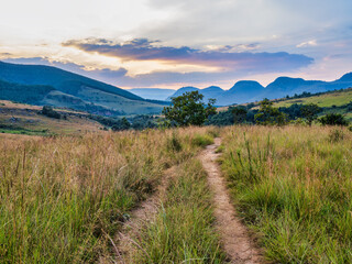 Plakat Hiking trail, rolling hills and misty meadows in Graskop, Panorama Route, Mpumalanga, South Africa