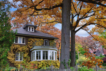 Residential neighborhood with large old trees in fall