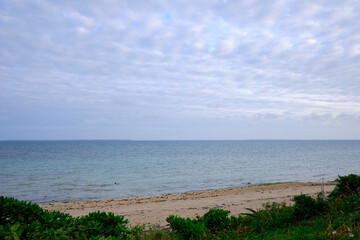 beautiful seascape with green bushes in the evening