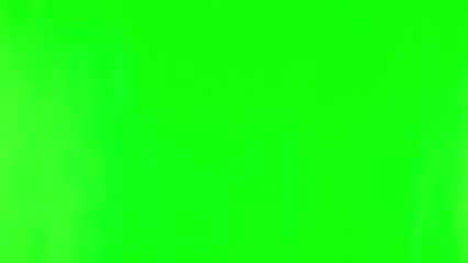 Green screen, announcement and black man search or peeking to discover, explore and isolated in a studio background. Thinking, casual and sneaky young person looking for adventure or notification