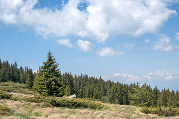 Spring view of Konyarnika area at Vitosha Mountain, Bulgaria