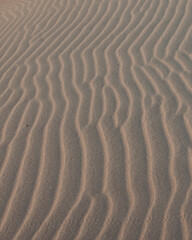 Footprints trail across wind-sculpted sand dunes on Delisha Beach, Socotra.
