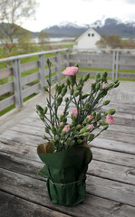 Pink carnations in a vase on a wooden background with a view of the mountains and the house