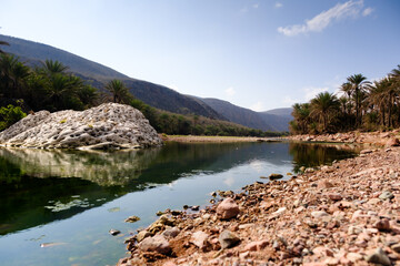 Palm-lined river with unique rock formation in Socotra, Yemen.