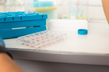 cell culture
