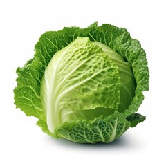 Obraz premium Cabbage on a white background