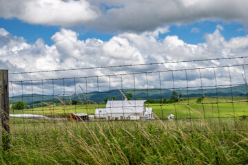 Obraz premium barn