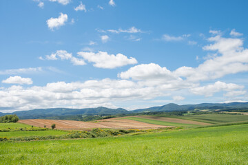 Fototapeta na wymiar 丘陵地帯の緑の草原と刈取が終わったムギ畑 