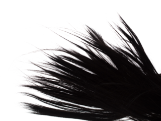 Long straight Wig hair style fly fall explosion. Black woman wig wave hair float in mid air. Straight black curl wig hair wind blow cloud throw. White background isolated high speed freeze motion