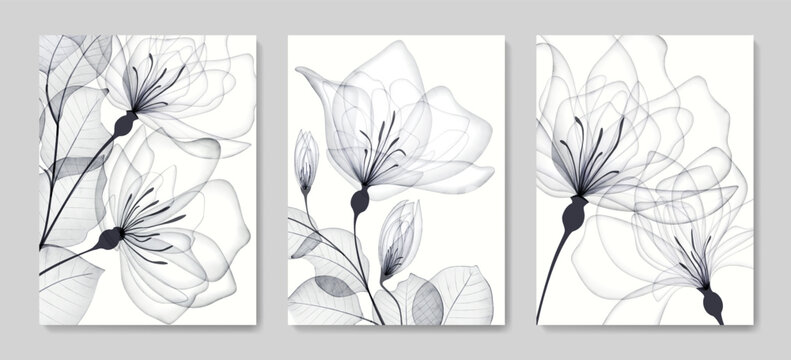 Black and white art background with transparent flowers and rose leaves in x-ray style. Botanical floral vector set with watercolor texture for decoration design, print, poster, interior, textile.