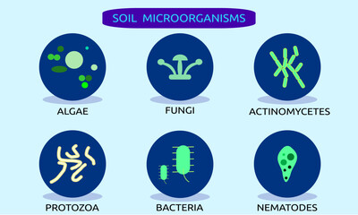 Types of soil microorganisms in white and black icon stlyle. soil microorganisms include algae, fungi, actunimycetes, protozoa, bacteria, and nematodes