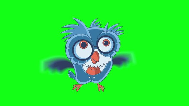 fun owl teacher cartoon character fly green screen