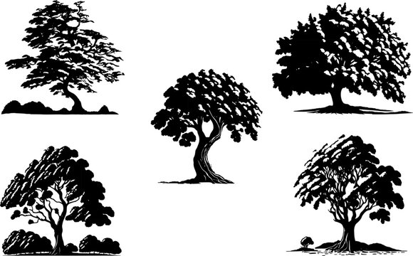 Silhouettes of oak trees in winter. Tree illustration with snow shadow effect
