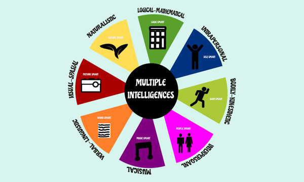 vector grapich illustration of multiple intelligences  howard gardner theory. multiple intelligences include verbal linguistic, logic-mathemathic, bodily kinesthetic, musical, visual spatial, etc