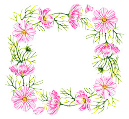 Wreath of cosmos flowers isolated on a white background