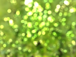 Fototapeta premium green bokeh background