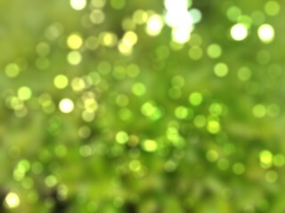 Fototapeta premium green bokeh background