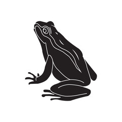 Frog icon