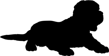 Charles Spaniel lies. Dog puppies silhouette. Baby dog silhouette Puppy breeds 