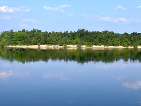 River calm blue water and forest in the shore at summer.