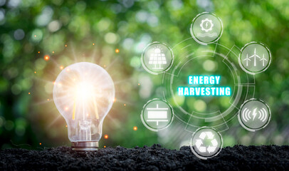 Energy harvesting concept, Light bulb on soil with energy harvesting icon on virtual screen. © Satori Studio