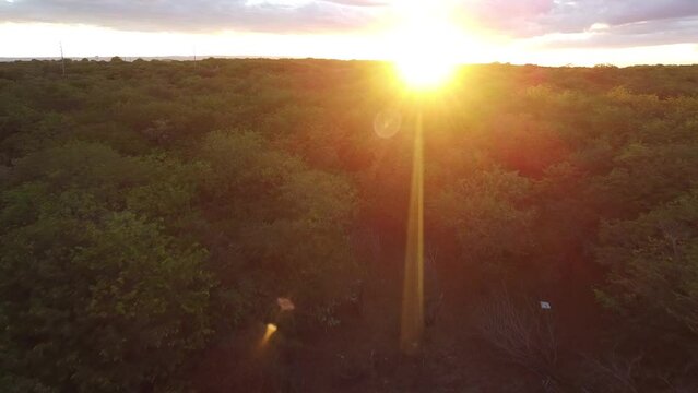 POR DO SOL NA CAATINGA NORDESTINA, POR DO SOL NO NORDESTE, POR DO SOL NORDESTINO, POR DO SOL, POR DO SOL NA CAATINGA, POR DO SOL DRONE 