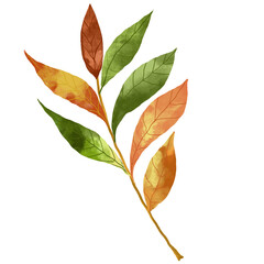 Watercolor leaf painting