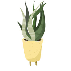 Green Pot yellow Flower PotHand Drawn Potted Illustration 