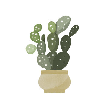Watercolor Illustration Hand Painted Cactus Plant 