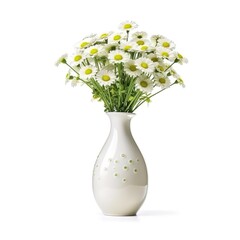 Flower vase isolate white background