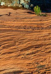 Patterns of Erosion Cut Into The Aztec Sandstone of The Calico Hills, Red Rock National Conservation Area, Las Vegas, Nevada, USA